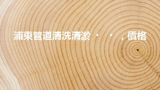 浦東管道清洗清淤，價格竟然如此驚人！